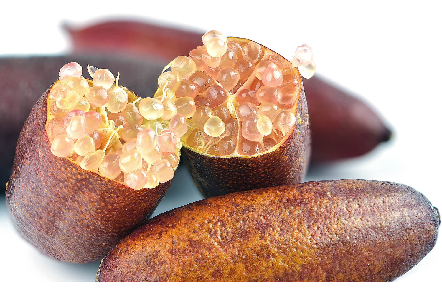 Finger limes verpakt 100gr stuk 2